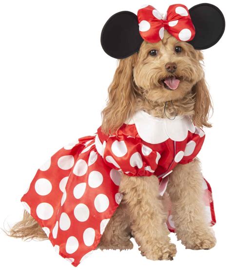 Dog Clothes and Costumes in Dogs .